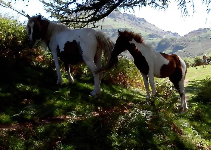 Pays Basque - Maison Lucie Lägenhet Biarritz